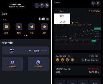 虚拟币usdt区块链投注竞猜游戏源码,trx游戏竞猜系统,区块链大小竞猜游戏